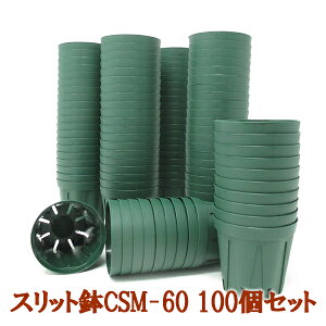 pZbgXbg 6cm 2 XO[ 100ZbgXbg Xbg A ͔|p |bg v^[ POT c ͂蔫