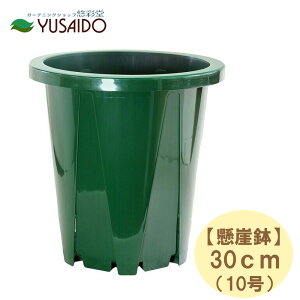 Xbg R 30cm 10 XO[Jl [^ XbgO10 Xbg10O XbgOTCY Xbg Xbg A |bg v^[ c ͂蔫 