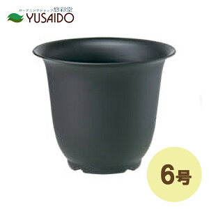 y|Cg5{zavX`bN mA|bg 6 ubNR Aؔ   V[g Vv n v^[ ͔| K[fjO  ubN uE N[ x[VbN