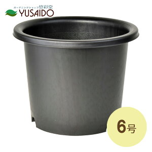 大和プラスチック 菊鉢 6号 ブラック菊鉢 植木鉢 プランター ガーデニング 鉢植え 園芸用品 ポリプロピレン 鉢 ポット 園芸鉢 塊根植物 アガベ ユーフォルビア 屋外 屋内 シンプル インテリ