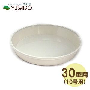 avX`bN tO[v[g (tO[|bg̎M) 30^p AC{[󂯎M   r Vv  킢 i` n  Jo[ r K[fjO 