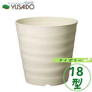 avX`bN tO[|bg 18^ AC{[v^[ Aؔ Vv  킢 i` n   Jo[ r K[fjO | |bg