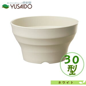 avX`bN tO[{[ 30^ IV AC{[ e7.0Lv^[ Aؔ Vv  킢 i` n   Jo[ r K[fjO | |bg