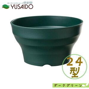 �y�|�C���g5�{�z��a�v���X�`�b�N �t���O���[�{�[�� 24�^ DGR �_�[�N�O���[�� �e��3.0L�v�����^�[ �A�ؔ� �V���v�� ������� ���킢�� �i�`������ ���n ��� �� �J�o�[ �r���� �K�[�f�j���O ��