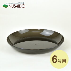 avX`bN NAv[g 6p a18cm  |bg  NA  _ N[ CeA ChA O[ ϗtA p KX XPg