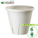 大和プラスチック 根はり鉢 6号 ホワイト スリット鉢植木鉢 構造 切れ目 育苗 ナーセリー ポット 根が育つ 栽培用 プロ用 業務用 バラ 多肉植物 観葉植物 ガーデニング 園芸