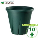 大和プラスチック 根はり鉢 10号 ダークグリーン スリット鉢 スリット 鉢 植木鉢 構造 切れ目 育苗 ナーセリー ポット 根が育つ 栽培用 プロ用 業務用 バラ 植替 スリット鉢