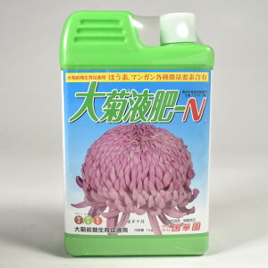 et N 1kg| ^ py 엿  A t̔엿 Ԗ  