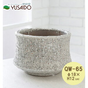 y|Cg5{z COVENT GARDEN QY-65 sG[EV_[|bgM Aؔ 픫 |bg A ϗtA  `[t VN Vr[VbN uJg i` {^jJ p