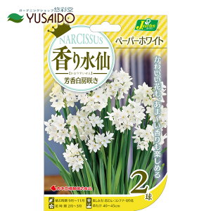 JlR F[炫 yp[zCg 2  HA  XCZ [炫 ؂₩ F Â t̉ t炫  炫 A tԒd | K[fjO AςȂ 