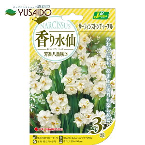 JlR Fd炫 T[EBXg`[` 3  HA  XCZ d炫 F Â ԂɞF t̉ t炫 A tԒd | K[fjO A