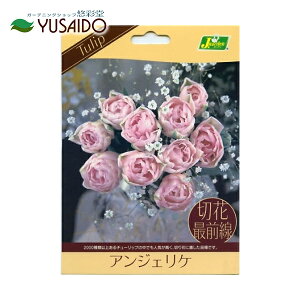 切花 白の人気商品 通販 価格比較 価格 Com