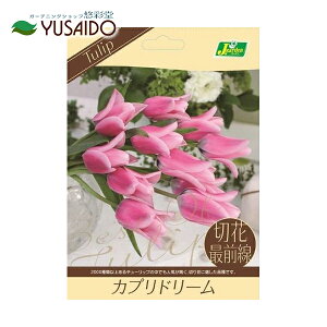 球根 寄せ植え セットの人気商品 通販 価格比較 価格 Com