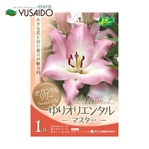 球根 百合球根の人気商品 通販 価格比較 価格 Com
