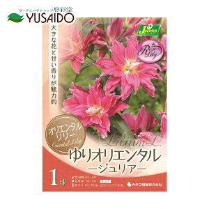 球根 カサブランカの人気商品 通販 価格比較 価格 Com