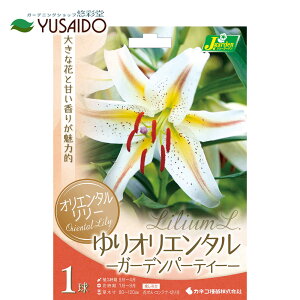 IG^S  JlRc uK[fp[eB[v ԐFFnɉFƃsN 1HA  S  JTuJ ؂₩ Â ĕ  A ς