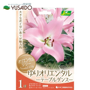 JlRc IG^S  ue[u_Xv1  HA  JTuJ sN  ؂₩ S[WX F  Â Ẳ Ԓd Rei | K[fj