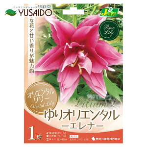 dIG^S  JlRc uGiv ԐFFZsNF 1HA  S  JTuJ ؂₩ Â ĕ ԕ  A d炫 ς K