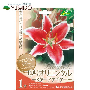 ς炫 IG^S  JlRc uX^[t@C^[v ԐFFԐFɔF 1HA  S  JTuJ ؂₩ Â ĕ ԕ  A 