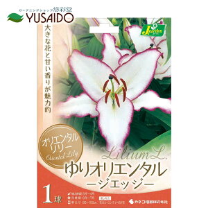 y|Cg5{zς炫 IG^S  JlRc uWEGbWv ԐFFԃsN 1HA  S  JTuJ ؂₩ Â ĕ ԕ 