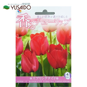 `[bv  ^LCc `[bv uXvO^Chv4 J[F