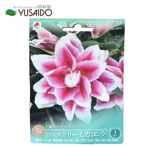 ^LC [Y[~JG dIG^SHA  S  S[WX VF ĕ  A ς K[fjO IG^ ̔ ʔ