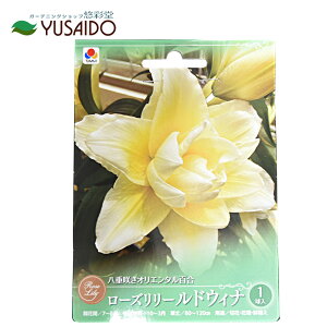 ^LC [Y[hBi dIG^SHA  S  S[WX VF ĕ  A ς K[fjO IG^ ̔ ʔ