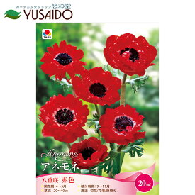 ●アネモネ 球根 八重咲 花色：赤 タキイ種苗 20ml アネモネ 宿根 球根 秋植え 人気 時期 花 春 寄せ植え 育て方 植え方 種類 庭 鉢 花壇 青花 キンポウゲ科 八重咲き 豪華 風の花 ギリシア 地中海 ガーデニング 園芸 鉢植え 地植え