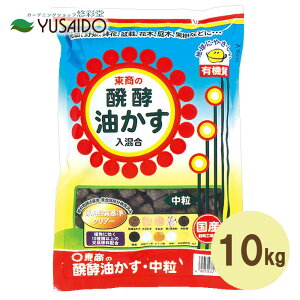  y  10kg pTCY  Ԃ炩 엿 y n Ō`    y   K[fjO | ƒ؉