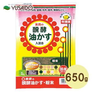 �y�|�C���g5�{�z���� ���y������ ���� 650g �g�����菭�ʃT�C�Y���� ������ ���Ԃ炩�� �엿 ���y ���n �Ō` ���� ���� ����� ����