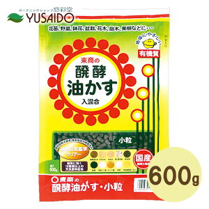 ���� ���y������ ���� 600g �g�����菭�ʃT�C�Y���� ������ ���Ԃ炩�� �엿 ���y ���n �Ō` ���� ���� ����� ����