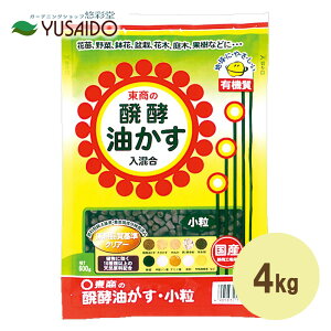 y|Cg5{z y  4kg  Ԃ炩 엿 y n Ō`    