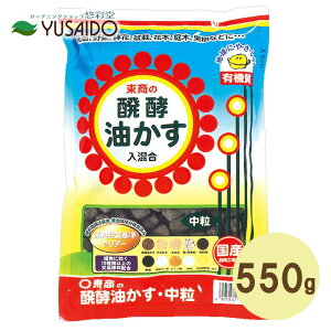 �y�|�C���g5�{�z���� ���y������ ���� 550g���� ������ ���Ԃ炩�� �엿 ���y ���n �Ō` ���� ���� ����� ����