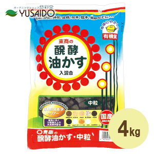  y  4kg  Ԃ炩 엿 y n Ō`    