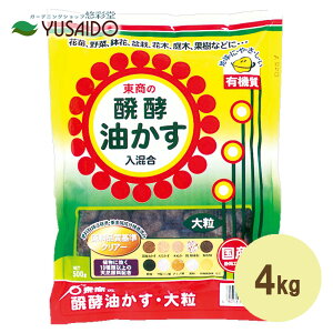  y 嗱 4kg  Ԃ炩 엿 y n Ō`    