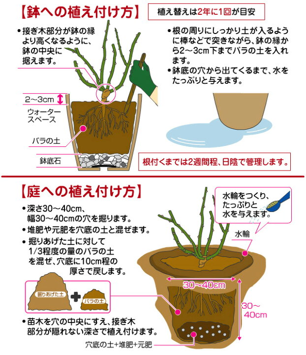 楽天市場 花ごころ バラの土 5l バラ 土 培養土 悠彩堂
