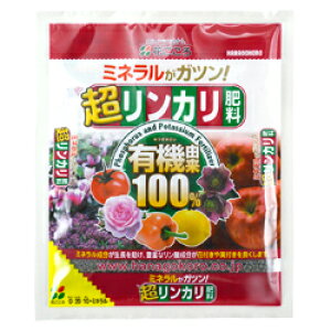 y|Cg5{zԂ J엿 500g  _   L@R100  L@ ϗtA  K[fjO |  v^[ Aؔ A