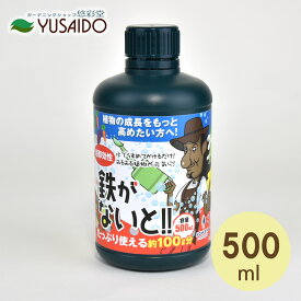 soware 鉄がないと！ 500ml Youtuber カーメン君オススメ商品！ 超速攻性の鉄活力液