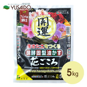 y|Cg5{zyŌ^ Ԃ 嗱 5kg  Ԃ炩 엿 y n Ō`   ǔ  C S t{_ ϗtA  K[fjO |  v^[ A