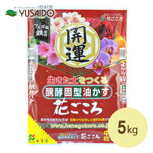 yŌ^ Ԃ  5kg  Ԃ炩 엿 y n Ō`   ǔ  C S t{_ ϗtA  K[fjO |  v^[ Aؔ A