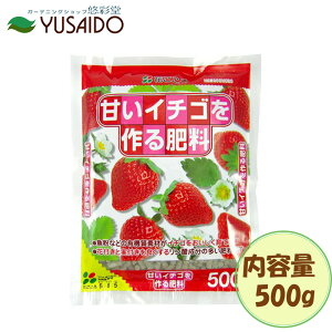 y|Cg5{zԂ ÂC`S엿 500g L@엿 _ ԕt  ybg  ǔ K[fjO |   v^[