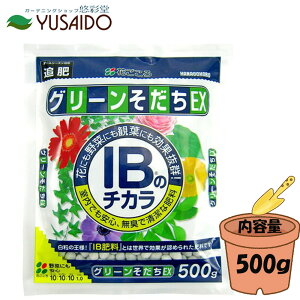 Ԃ IB̃`J O[EX 500g  A J 엿 Ɍ엿 L  엿 K[fjO |   Ԓd v^[