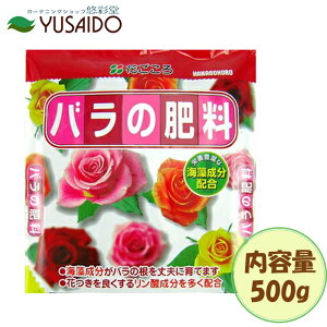 Ԃ o̔엿 500g΂ C _ L@ ybg   ǔ  K[fjO | v^[  