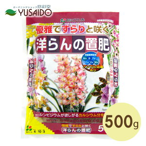 Ԃ m̒u 500g엿 y  L@ Ō^엿 _  Lx J v JVE z   ϗtA  K[fjO |  v^[ Aؔ A