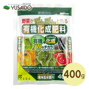 �Ԃ����� �L�@�����엿 400g���� ������ �����엿 �L�@�엿 �z�� �엿 �A�~�m�_ ���� �ϗt�A�� ���� �K�[�f�j���O ���| �� �v�����^�[ �A�ؔ� ���A��