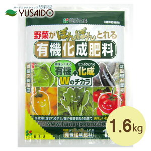 y|Cg5{zԂ L@엿 1.6kg  엿 L@엿 z 엿 A~m_  ϗtA  K[fjO |  v^[ Aؔ A