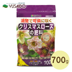 Ԃ NX}X[Y̔엿 700g`b\ T J VRA 엿 ΂ K[fjO | v^[   Aؔ A