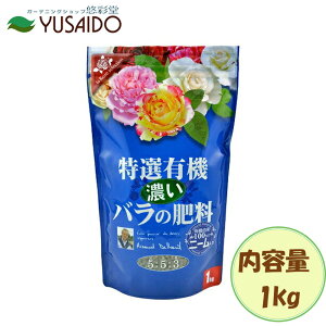 Ԃ IL@ Zo̔엿 1kg΂ j[ L@ L@100 y  L@ AL@ ybg K[fjO |  v^[ 