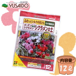 �Ԃ����� �K�[�f���V�N�������E�V�N�������̓y 12L�V�N������ �K�[�f�� �V�N������ ���� �~�j�V�N������ ��p �p�y �|�{�y �엿 �A�ւ� �y