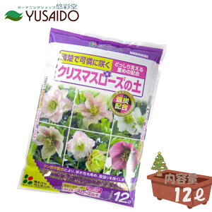 y|Cg5{zԂ NX}X[Y̓y 12LXmas NX}X[Y p |{y py 񂽂 z uh y K[fjO |  v^[